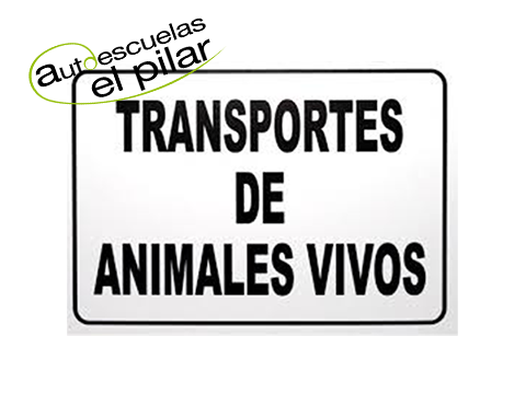 Formación en bienestar animal
